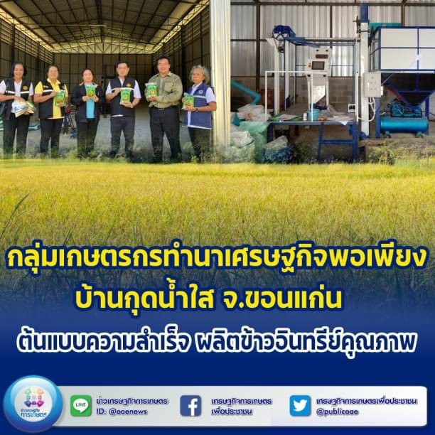 กลุ่มเกษตรกรทำนาเศรษฐกิจพอเพียงบ้านกุดน้ำใส’ จ.ขอนแก่น ต้นแบบความสำเร็จ ผลิตข้าวอินทรีย์คุณภาพ 