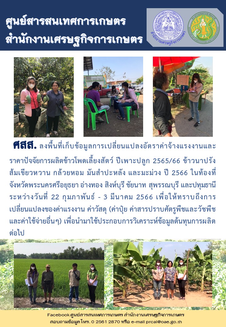 ศูนย์สารสนเทศการเกษตร ลงพื้นที่เก็บข้อมูลการเปลี่ยนแปลงอัตราค่าจ้างแรงงาน...