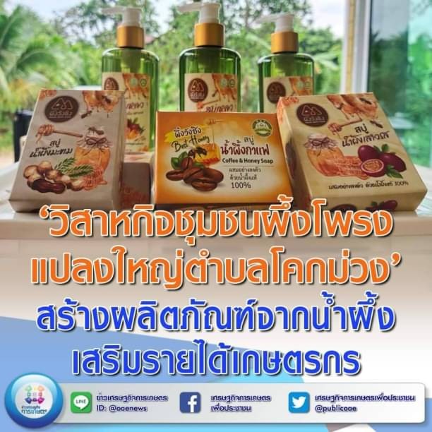 วิสาหกิจชุมชนผึ้งโพรงแปลงใหญ่ตำบลโคกม่วง’ สร้างผลิตภัณฑ์จากน้ำผึ้ง เสริมรายได้เกษตรกร  