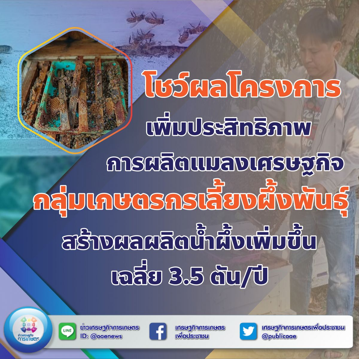 โชว์ผลโครงการเพิ่มประสิทธิภาพการผลิตแมลงเศรษฐกิจ กลุ่มเกษตรกรเลี้ยงผึ้งพันธุ์  สร้างผลผลิตน้ำผึ้งเพิ่มขึ้นเฉลี่ย 3.5 ตัน/ปี