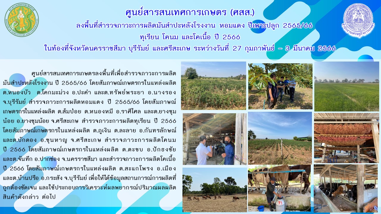 ศูนย์สารสนเทศการเกษตร ลงพื้นที่สำรวจภาวะการผลิตมันสำปะหลังโรงงาน หอมแดง ปีเพาะปลูก 2565/66