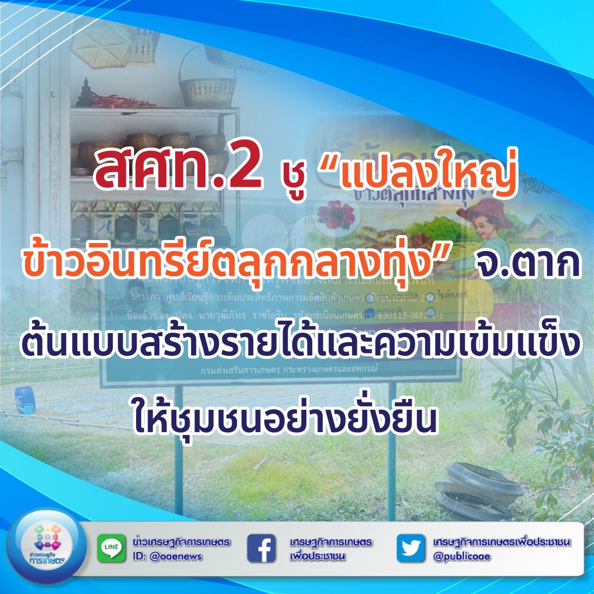 สศท.2 ชู “แปลงใหญ่ข้าวอินทรีย์ตลุกกลางทุ่ง” จ.ตาก ต้นแบบสร้างรายได้และความเข้มแข็งให้ชุมชนอย่างยั่งยืน 