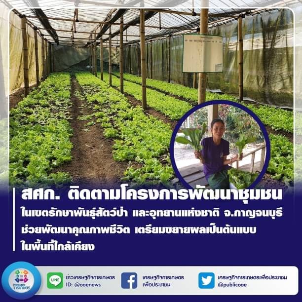 สศก. ติดตามโครงการพัฒนาชุมชนในเขตรักษาพันธุ์สัตว์ป่า และอุทยานแห่งชาติ จ.กาญจนบุรี ช่วยพัฒนาคุณภาพชีวิต เตรียมขยายผลเป็นต้นแบบในพื้นที่ใกล้เคียง 