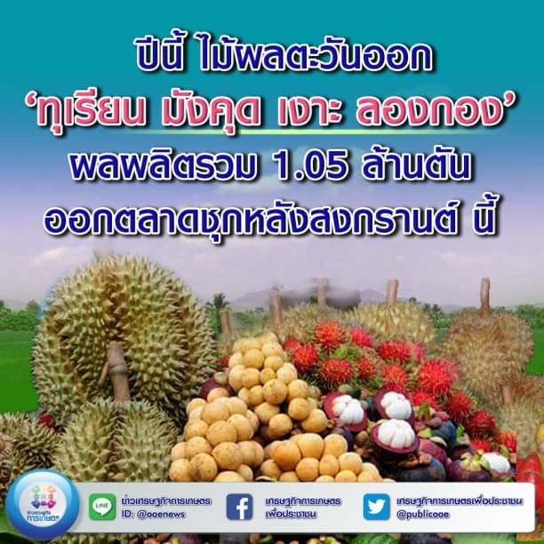 ปีนี้ ไม้ผลตะวันออก ‘ทุเรียน มังคุด เงาะ ลองกอง’ ผลผลิตรวม 1.05 ล้านตัน ออกตลาดชุก หลังสงกรานต์ นี้