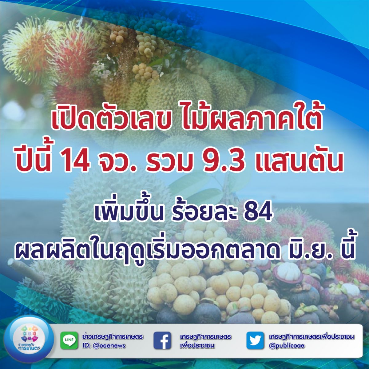 เปิดตัวเลข ไม้ผลภาคใต้ ปีนี้ 14 จว. รวม 9.3 แสนตัน เพิ่มขึ้น ร้อยละ 84 ผลผลิตในฤดูเริ่มออกสู่ตลาด มิ.ย. นี้