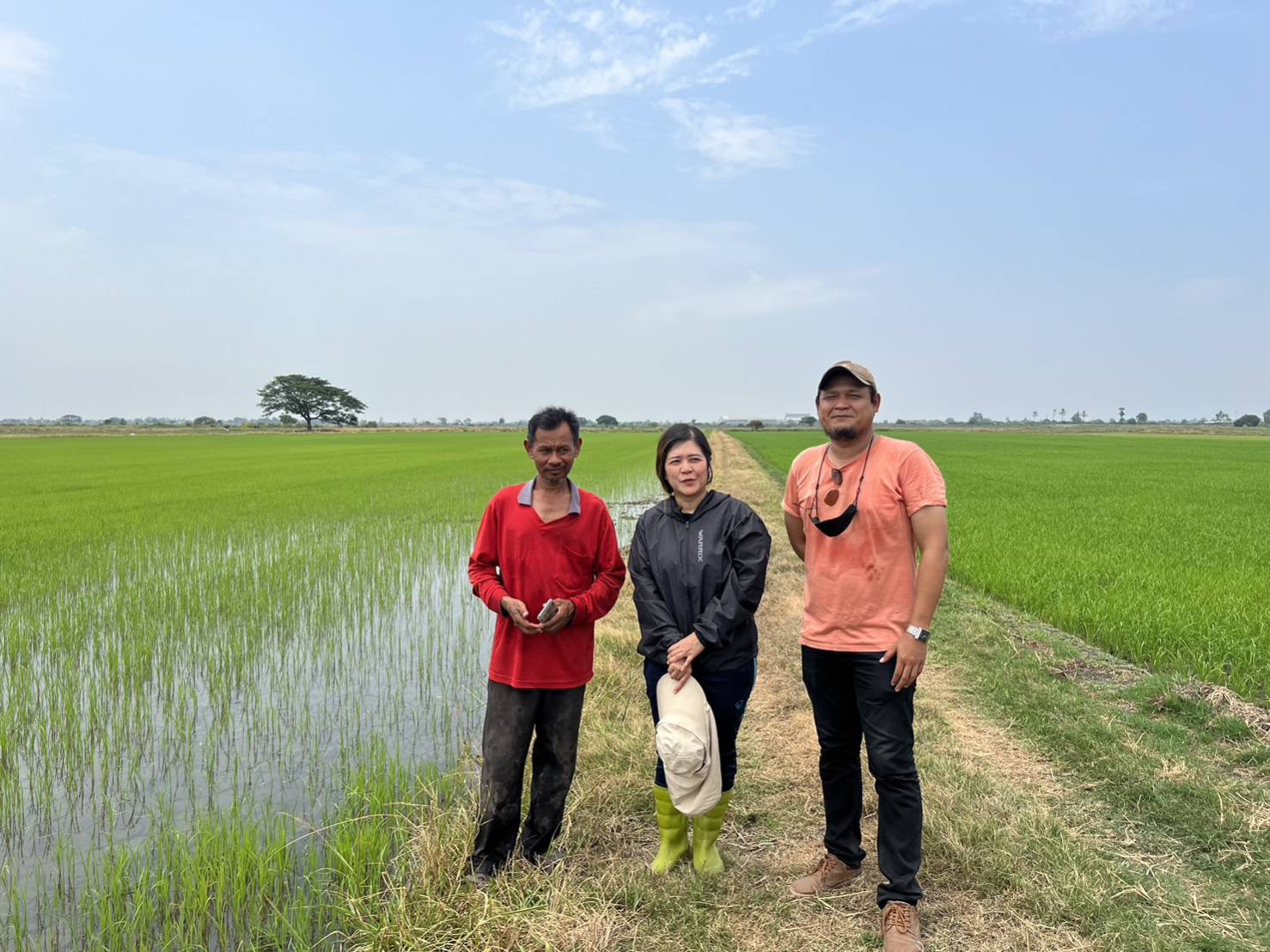 ศสส. ดำเนินการสำรวจในข้าวนาปี ปีเพาะปลูก 2566 กำหนดจำนวนแปลงตัวอย่างเพื่อใช้ในการสำรวจ จำนวน 45 แปลงตัวอย่าง