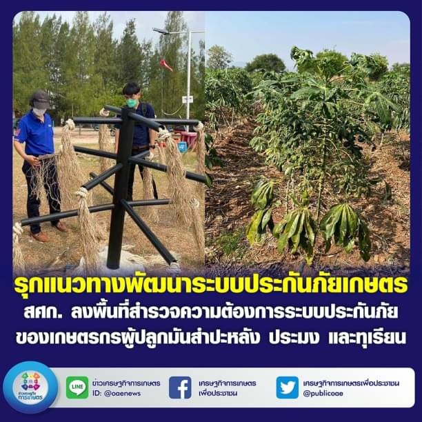  รุกแนวทางพัฒนาระบบประกันภัยเกษตร สศก. ลงพื้นที่สำรวจความต้องการระบบประกันภัย ของเกษตรกรผู้ปลูกมันสำปะหลัง ประมง และทุเรียน