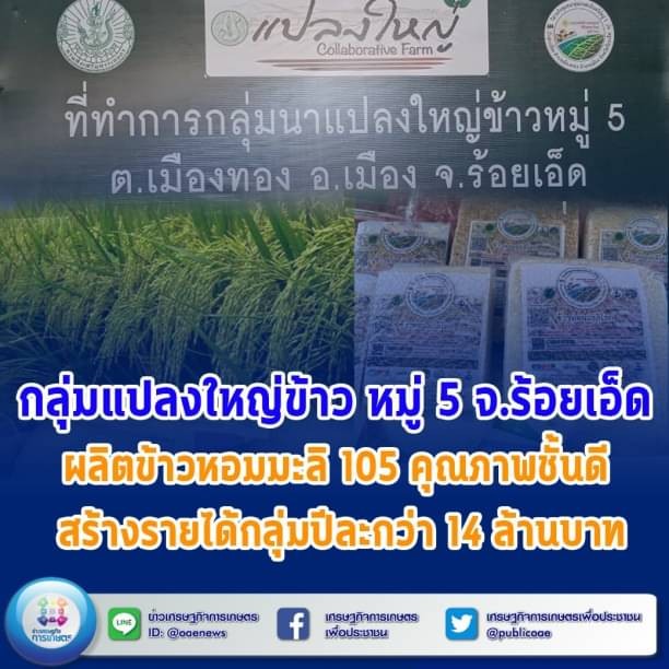  กลุ่มแปลงใหญ่ข้าว หมู่ 5 จ.ร้อยเอ็ด ผลิตข้าวหอมมะลิ 105 คุณภาพชั้นดี สร้างรายได้กลุ่มปีละกว่า 14 ล้านบาท