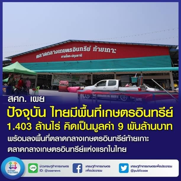 สศก. เผย ปัจจุบัน ไทยมีพื้นที่เกษตรอินทรีย์ 1.403 ล้านไร่ คิดเป็นมูลค่า 9 พันล้านบาท  พร้อมลงพื้นที่ตลาดกลางเกษตรอินทรีย์ ท้ายเกาะ ตลาดกลางเกษตรอินทรีย์แห่งแรกในไทย