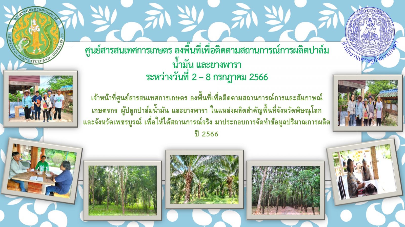 ศูนย์สารสนเทศการเกษตร ลงพื้นที่เพื่อติดตามสถานการณ์การผลิตปาล์มน้ำมัน และยางพารา