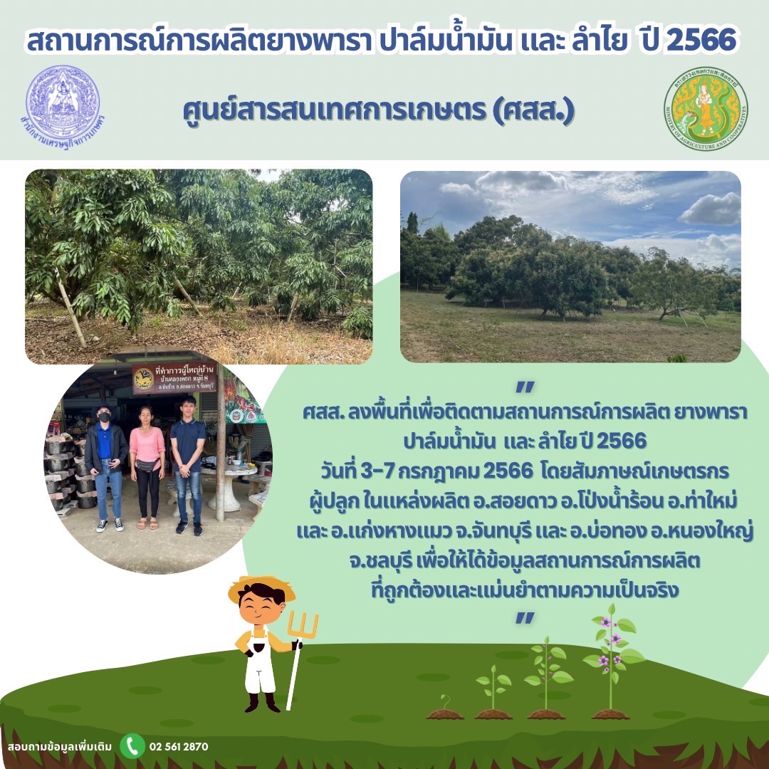  ศูนย์สารสนเทศการเกษตร ลงพื้นที่เพื่อติดตามสถานการณ์การผลิตปาล์มน้ำมัน และยางพารา และลำไย ปี 2566