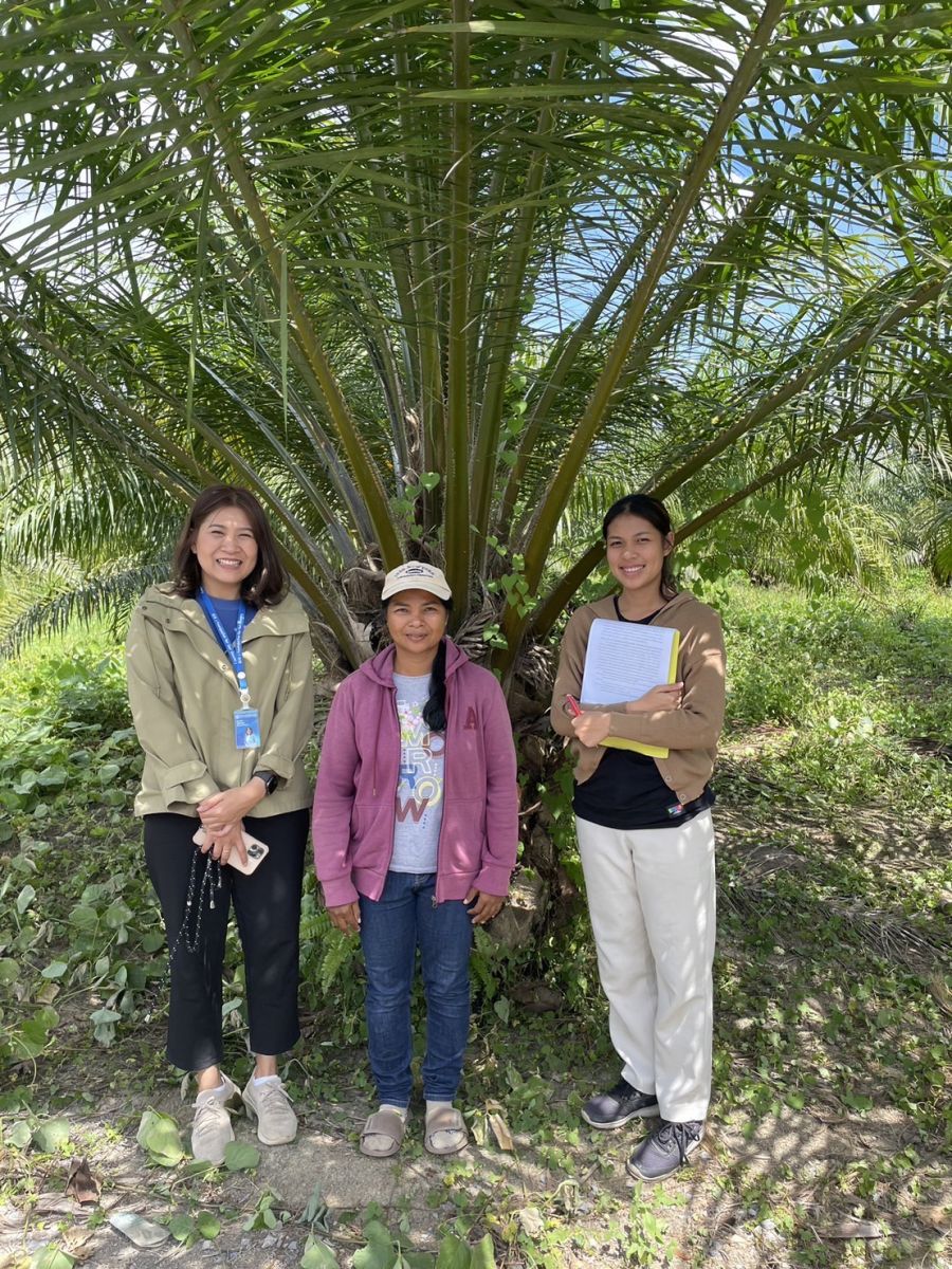 โครงการประยุกต์ใช้เทคโนโลยีภูมิสารสนเทศเพื่อเพิ่มประสิทธิภาพการพยากรณ์ผลผลิตสินค้าเกษตร ปีงบประมาณ พ.ศ. 2566 สินค้าปาล์มน้ำมัน