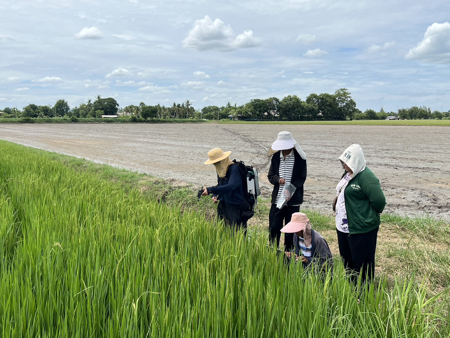 ศูนย์สารสนเทศการเกษตร โดยส่วนภูมิสารสนเทศการเกษตร ลงปฏิบัติราชการต่างจังหวัดในพื้นที่จังหวัดสุพรรณบุรี และอ่างทอง