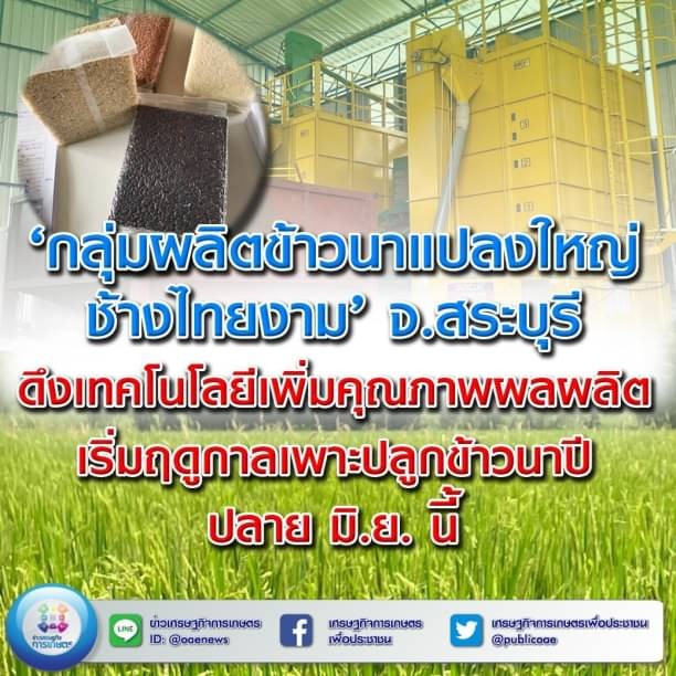 “กลุ่มผลิตข้าวนาแปลงใหญ่ช้างไทยงาม” จ.สระบุรีดึงเทคโนโลยีเพิ่มคุณภาพผลผลิต  เริ่มฤดูกาลเพาะปลูกข้าวนาปี ปลาย มิ.ย. น