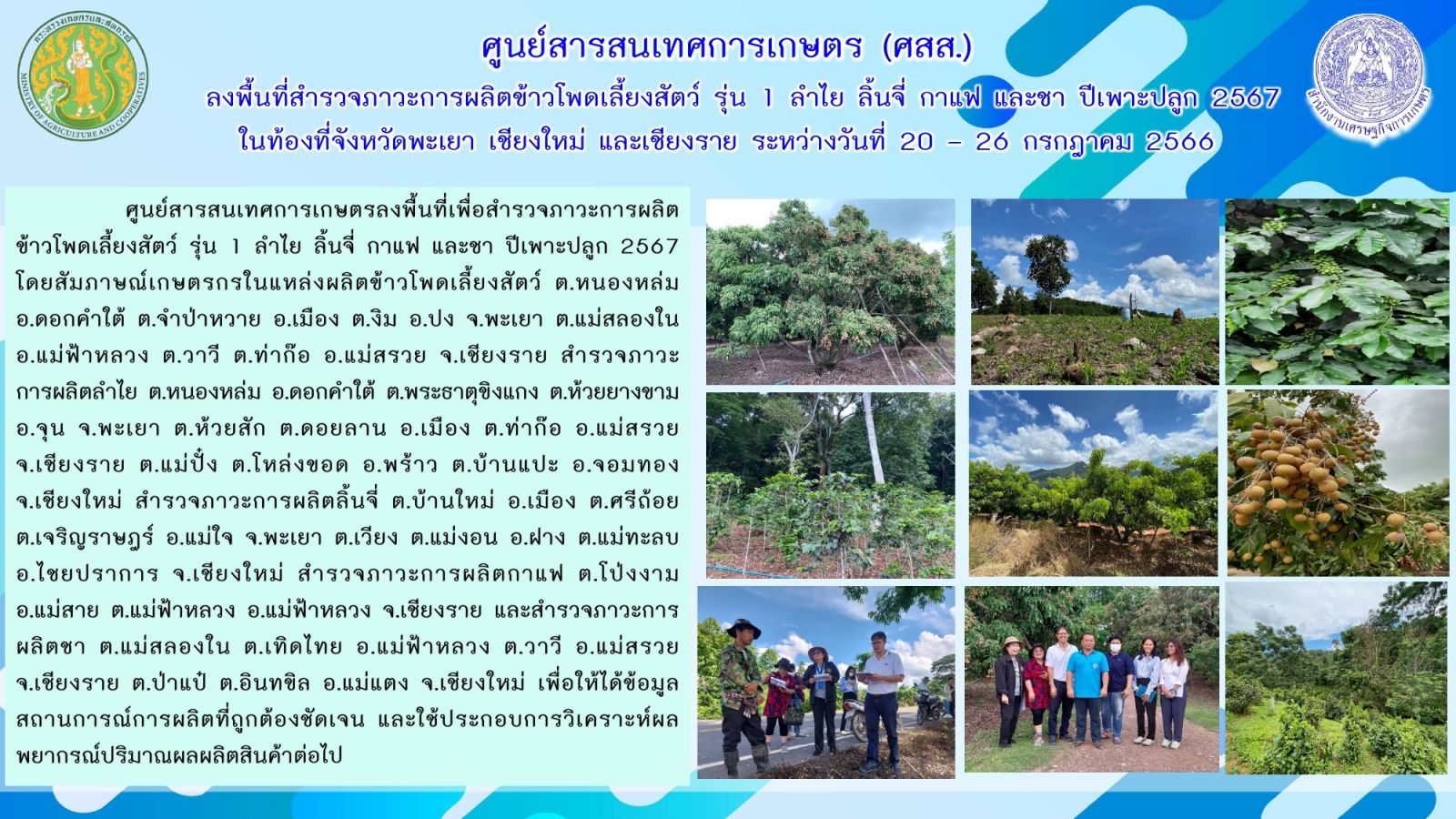 ศูนย์สารสนเทศการเกษตร ลงพื้นที่สำรวจภาวะการผลิตข้าวโพดเลี้ยงสัตว์ รุ่น1 ลำไย ลิ้นจี่ กาแฟ และชา ปีเพาะปลุก 2567