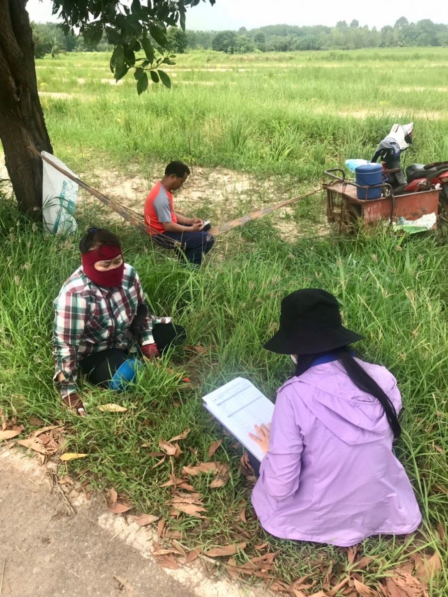 ศูนย์สารสนเทศการเกษตร ลงพื้นที่เก็บข้อมูลการเปลี่ยนแปลงอัตราค่าจ้างแรงงานและราคาปัจจัยการผลิต...