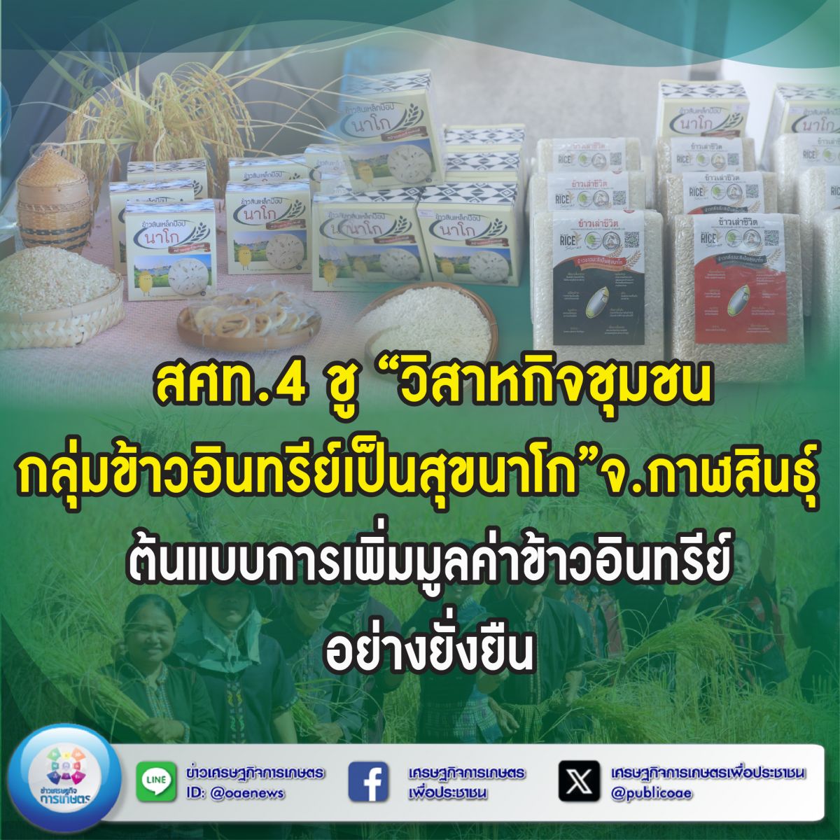 สศท.4 ชู “วิสาหกิจชุมชนกลุ่มข้าวอินทรีย์เป็นสุขนาโก” จ.กาฬสินธุ์ ต้นแบบการเพิ่มมูลค่าข้าวอินทรีย์อย่างยั่งยืน