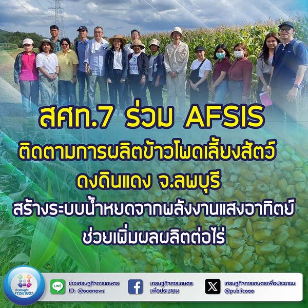 สศท.7 ร่วม AFSIS ติดตามการผลิตข้าวโพดเลี้ยงสัตว์ ดงดินแดง จ.ลพบุรี  สร้างระบบน้ำหยดจากพลังงานแสงอาทิตย์ ช่วยเพิ่มผลผลิตต่อไร่