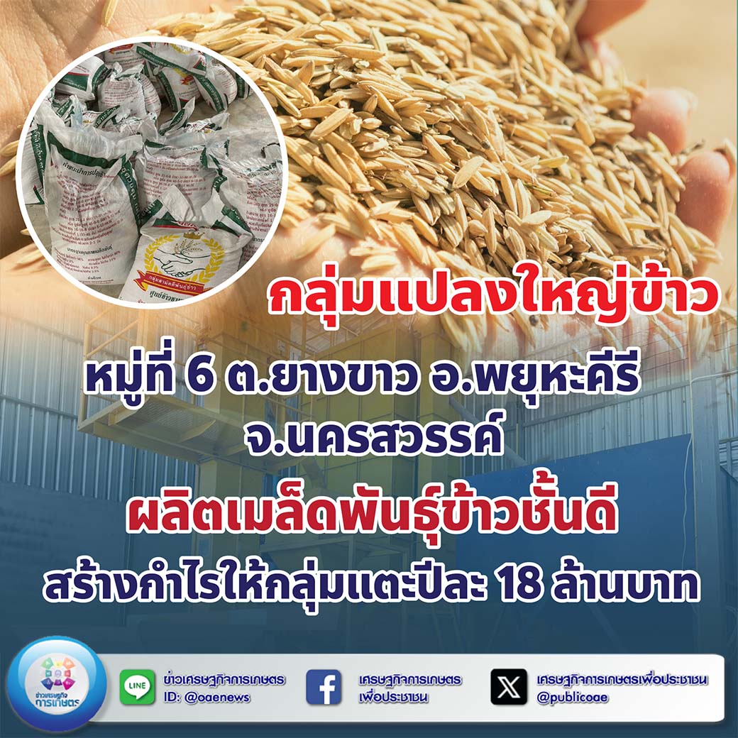 กลุ่มแปลงใหญ่ข้าว หมู่ที่ 6 ต.ยางขาว อ.พยุหะคีรี จ.นครสวรรค์ ผลิตเมล็ดพันธุ์ข้าวชั้นดี สร้างกำไรให้กลุ่มแตะปีละ 18 ล้านบาท