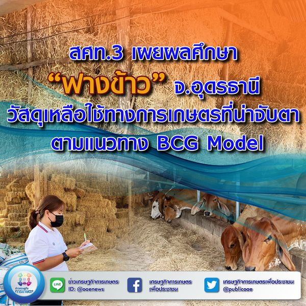 สศท.3 เผยผลศึกษา “ฟางข้าว” จ.อุดรธานี วัสดุเหลือใช้ทางการเกษตรที่น่าจับตา ตามแนวทาง BCG Model 