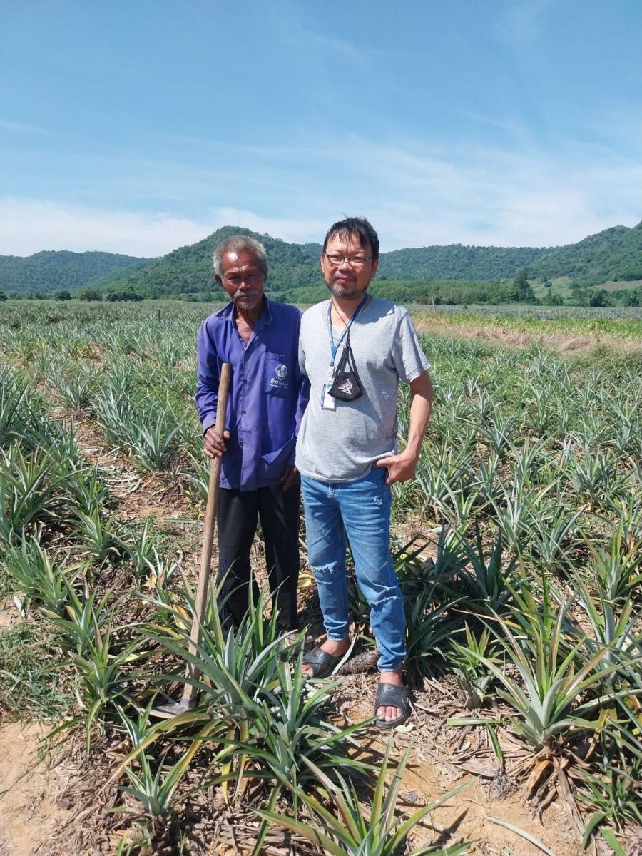 ศูนย์สารสนเทศการเกษตร ปฏิบัติราชการต่างจังหวัด เพื่อสำรวจในการจัดเก็บค่าพิกัดพื้นที่เพาะปลูกสับปะรด