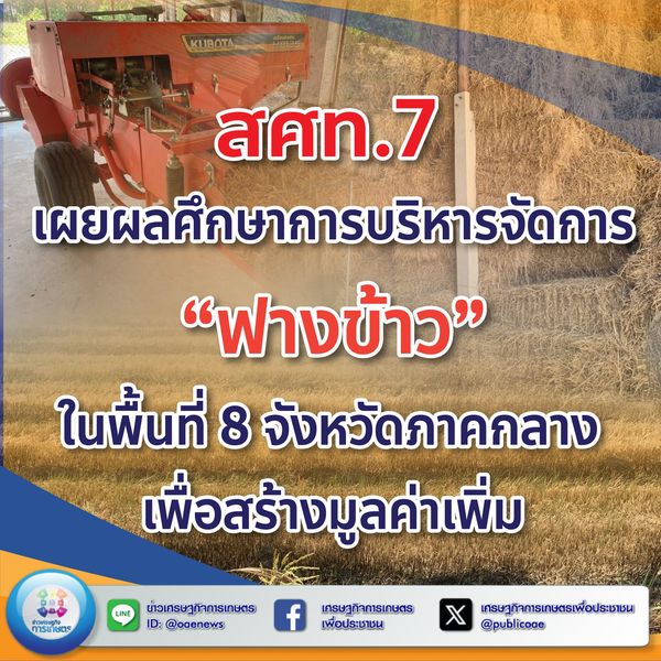 สศท. 7 เผยผลศึกษาการบริหารจัดการ “ฟางข้าว” ในพื้นที่ 8 จังหวัดภาคกลาง เพื่อสร้างมูลค่าเพิ่ม