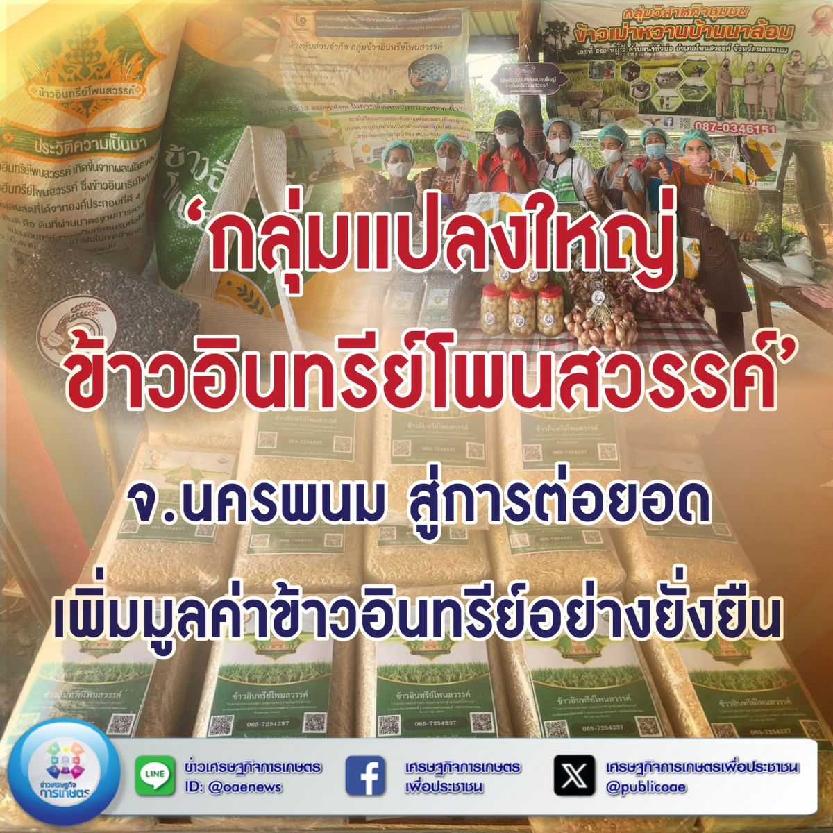 กลุ่มแปลงใหญ่ข้าวอินทรีย์โพนสวรรค์’ จ.นครพนม สู่การต่อยอดเพิ่มมูลค่าข้าวอินทรีย์อย่างยั่งยืน