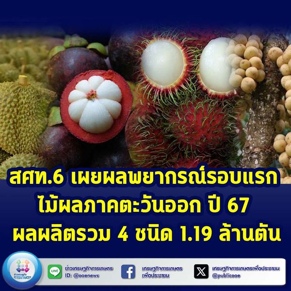 สศท.6 เผยผลพยากรณ์รอบแรก ไม้ผลภาคตะวันออก ปี 67 ผลผลิตรวม 4 ชนิด 1.19 ล้านตัน ปีนี้อากาศแปรปรวน ผลผลิตออกสู่ตลาดล่าช้ากว่าปีที่ผ่านมา