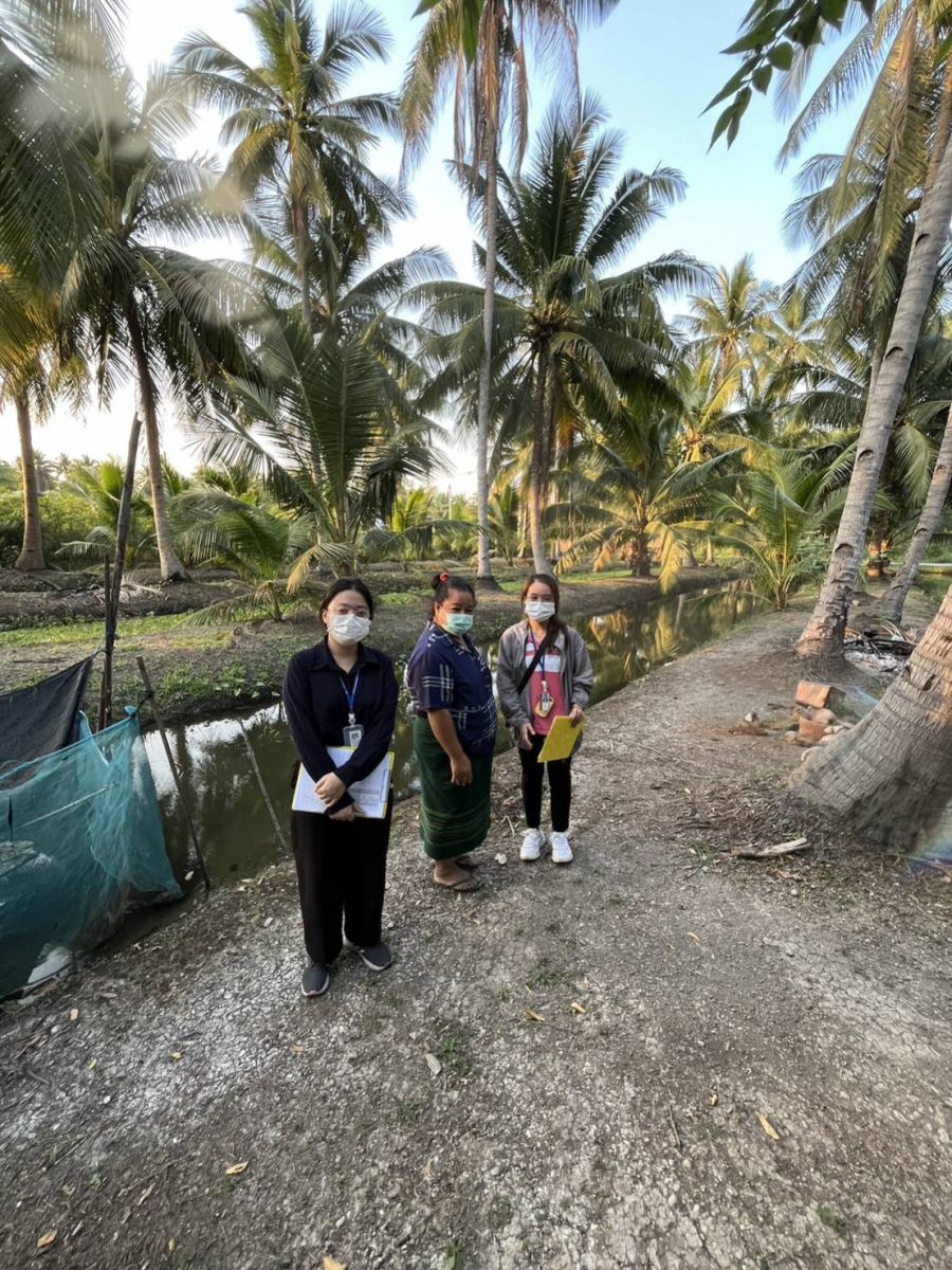 ศสส. ลงพื้นที่ปฏิบัติราชการเพื่อติดตามภาวะการผลิตมะพร้าวผลแก่ ปี 2566