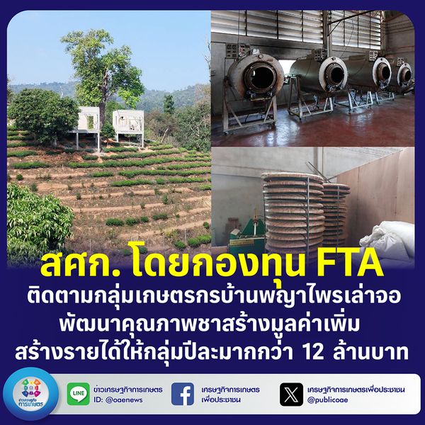 สศก. โดยกองทุน FTA ติดตามกลุ่มเกษตรกรบ้านพญาไพรเล่าจอ พัฒนาคุณภาพชาสร้างมูลค่าเพิ่ม  สร้างรายให้ให้กลุ่มปีละมากกว่า 12 ล้านบาท