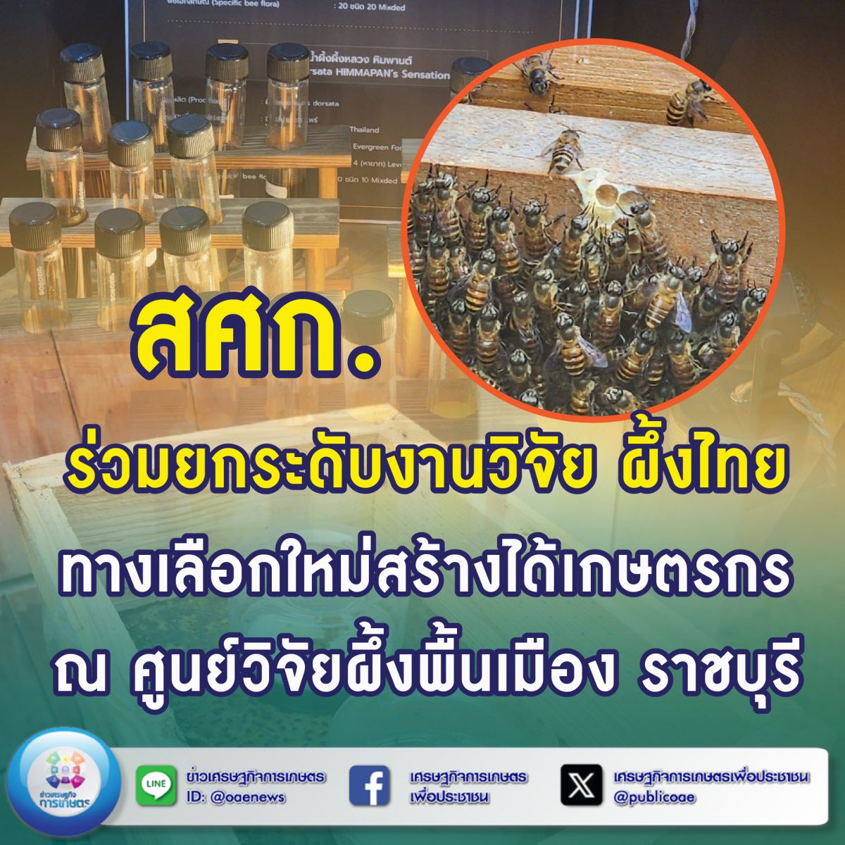 สศก. ร่วมยกระดับงานวิจัย ผึ้งไทย ทางเลือกใหม่สร้างได้เกษตรกร ณ ศูนย์วิจัยผึ้งพื้นเมือง ราชบุรี