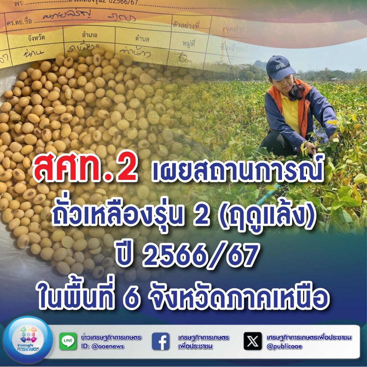 สศท.2 เผยสถานการณ์ถั่วเหลืองรุ่น 2 (ฤดูแล้ง) ปี 2566/67 ในพื้นที่ 6 จังหวัดภาคเหนือ