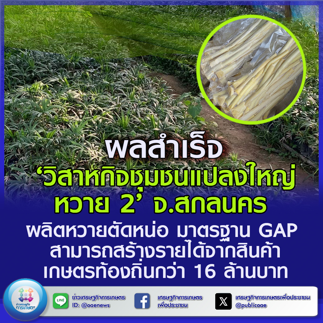 ผลสำเร็จ ‘วิสาหกิจชุมชนแปลงใหญ่หวาย 2’ จ.สกลนคร ผลิตหวายตัดหน่อ มาตรฐาน GAP สามารถสร้างรายได้จากสินค้าเกษตรท้องถิ่นกว่า 16 ล้านบาท