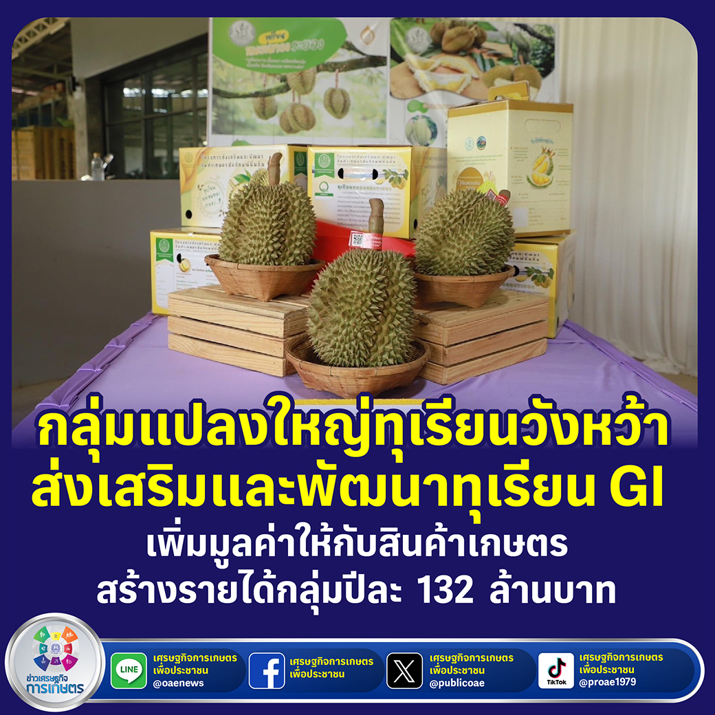 กลุ่มแปลงใหญ่ทุเรียนวังหว้า ส่งเสริมและพัฒนาทุเรียน GI เพิ่มมูลค่าให้กับสินค้าเกษตร สร้างรายได้กลุ่มปีละ 132 ล้านบาท