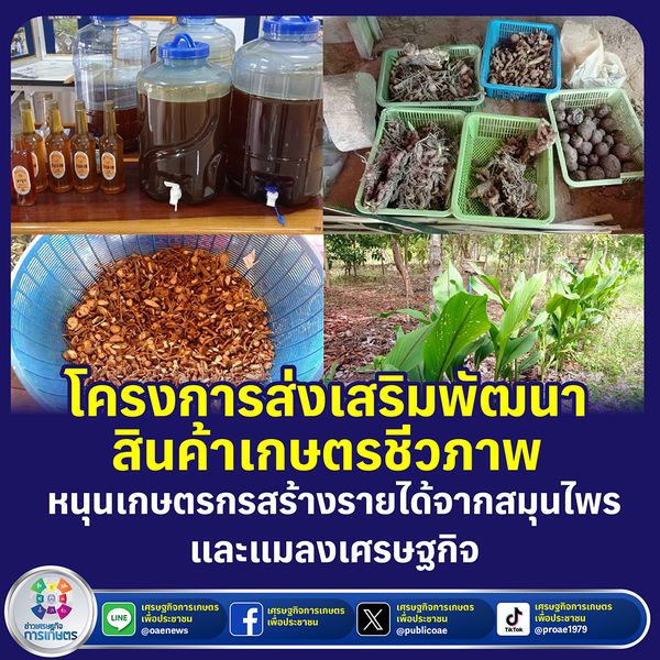 โครงการส่งเสริมพัฒนาสินค้าเกษตรชีวภาพ หนุนเสริมทักษะเกษตรกร  สร้างรายได้เสริมจากสมุนไพร และแมลงเศรษฐกิจในครัวเรือน