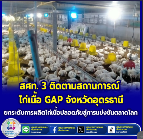 สศท.3 ติดตามสถานการณ์ ไก่เนื้อ GAP จังหวัดอุดรธานี ยกระดับการผลิตไก่เนื้อปลอดภัยสู่การแข่งขันตลาดโลก