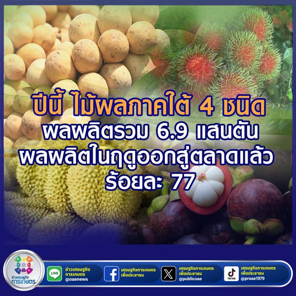 ปีนี้ ไม้ผลภาคใต้ 4 ชนิด ผลผลิตรวม 6.9 แสนตัน ผลผลิตในฤดูออกสู่ตลาดแล้ว ร้อยละ 77