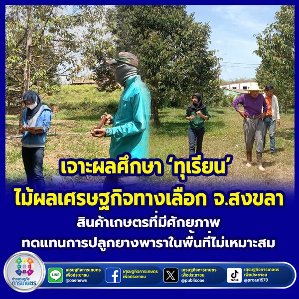 เจาะผลศึกษา ‘ทุเรียน’ ไม้ผลเศรษฐกิจทางเลือก จ.สงขลา สินค้าเกษตรที่มีศักยภาพ ทดแทนการปลูกยางพาราในพื้นที่ไม่เหมาะสม